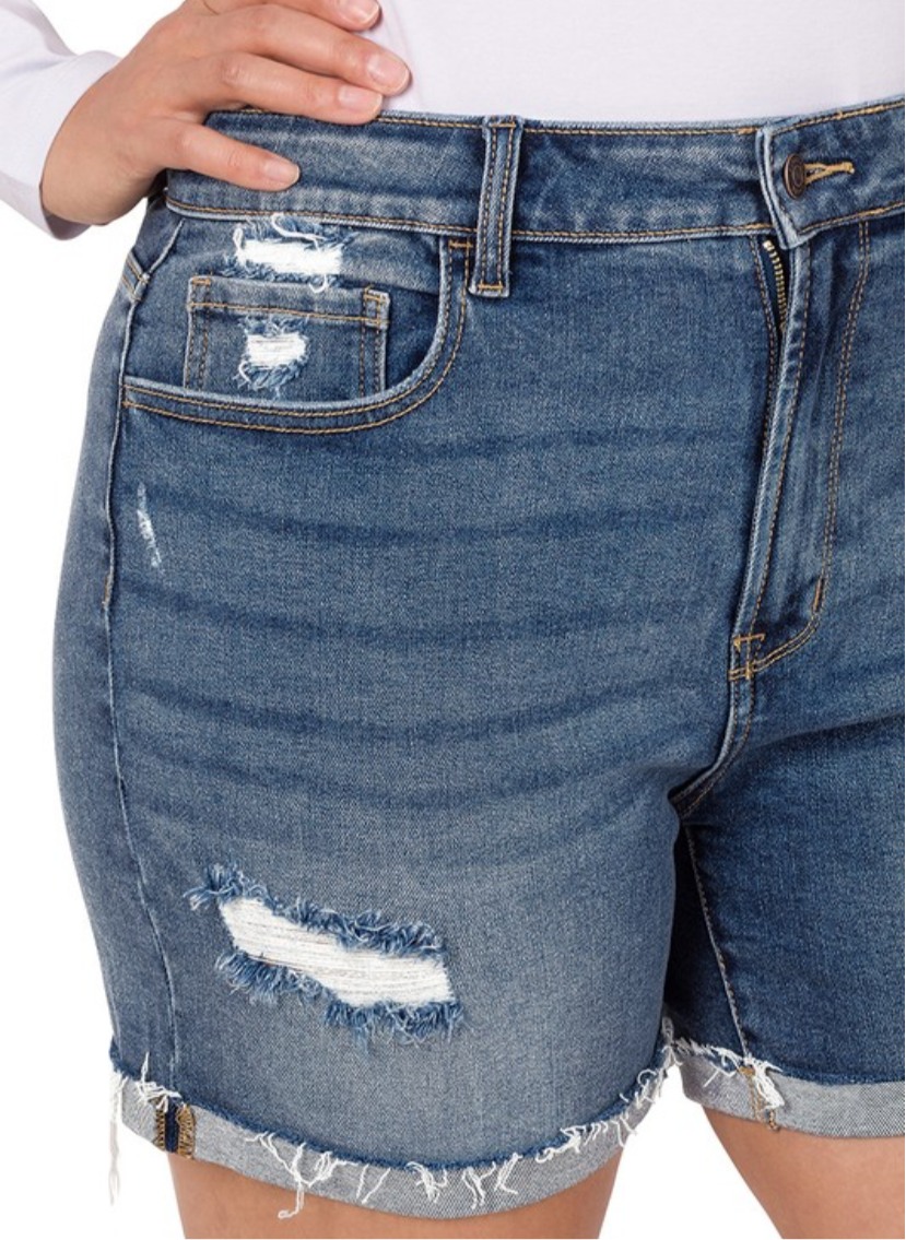 CURVY SUMMER EDGE SHORTS