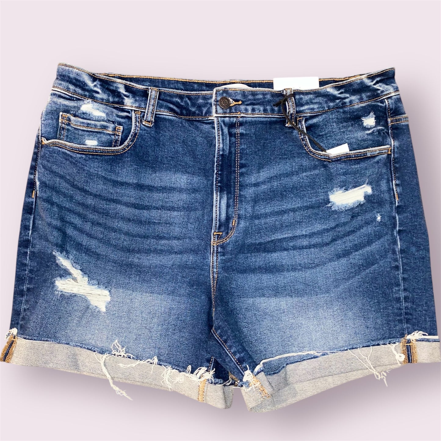 CURVY SUMMER EDGE SHORTS
